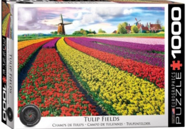 Eurographics 5326 - Tulip Fields Netherlands - 1000 stukjes
