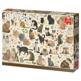Jumbo - Francien's Katten  Poster - 1000 stukjes