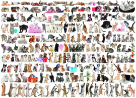 Eurographics 0580 - The World of Cats - 1000 stukjes