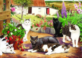 House of Puzzles - Cool Cats - 500XL stukjes