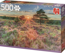 Jumbo - Wolf, Sunflowers and Heather - 3 in 1 koop