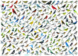 Eurographics - The World of Birds - 2000 stukjes