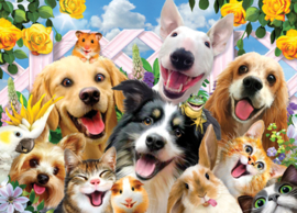 TFF Dubbelzijdige Selfie puzzel - Honden - 500 stukjes