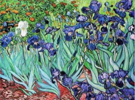 D-Toys Vincent van Gogh - Iris - 1000 stukjes