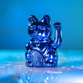 Lucky cat Donkey / shiny blauw / groot in cadeaukoker
