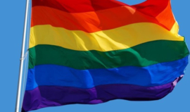 Regenboogvlag  Pride 90 x 150 cm