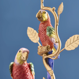 Kandelaar papegaai, rood-goud