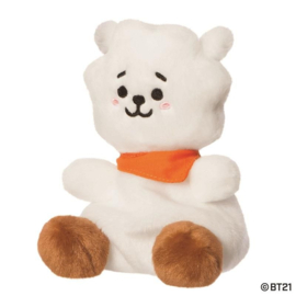 Knuffel RJ