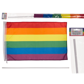 Regenboog vlag met plastic stok , ca. 90 x 60 cm,