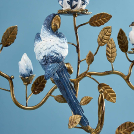Kandelaar papegaai, blauw-wit