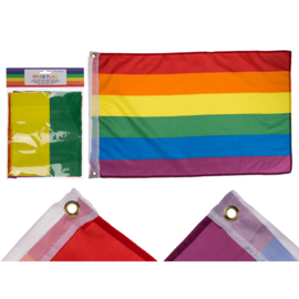 Regenboog vlag , 90 x 60 cm, in polybag