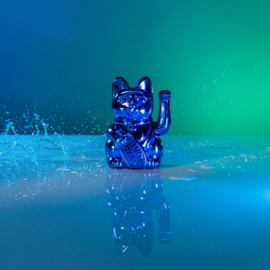 Lucky cat Donkey / shiny blauw / groot in cadeaukoker
