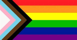 Regenboog Progress Vlag Pride 150 x 90