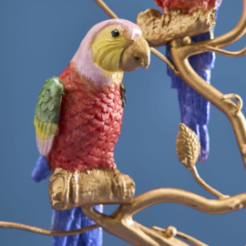 Kandelaar papegaai, rood-goud