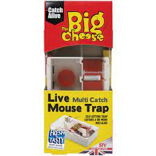 Big cheese Live Multi muizenval