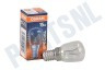 Lampen E14 GLOEI Parfumlamp/schakelbordlamp