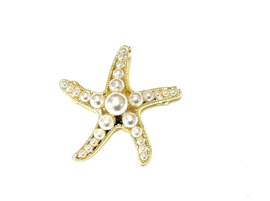 Broche zeester