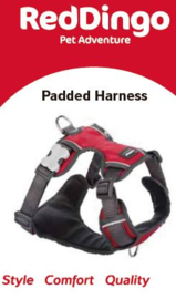 Padded Harness