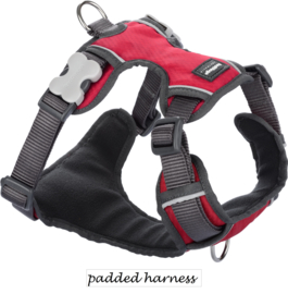 Padded Harness