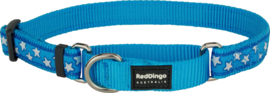 Martingale Design