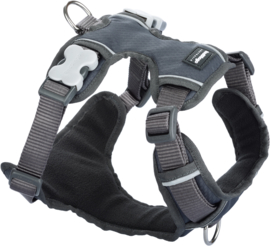 Padded Harness