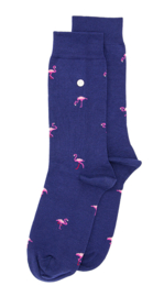 Alfredo Gonzales Flamingos