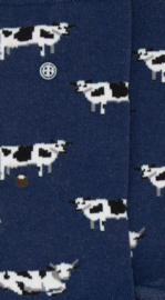 Alfredo Gonzales Cows