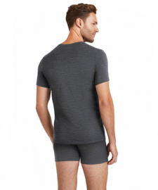 Falke Heren T-Shirt Ronde Hals Daily ClimaWool