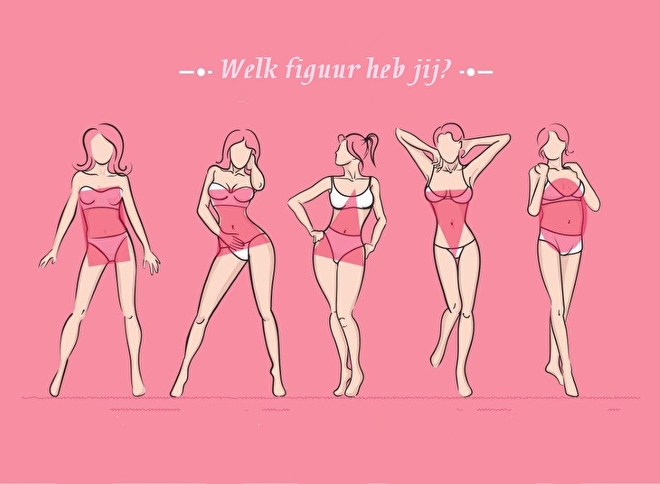 body types