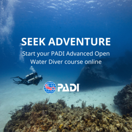 PAD of SSI Theorie Scuba Diver & Open Water Diver of Advanced Open Water Diver of Rescue Diver of Nitrox