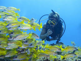 divearound Level 1, Discover Scuba Diver