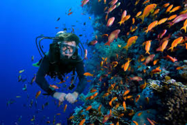 FUN Duik inclusief uitrusting en begeleiding indien je geen diveteam lid bent