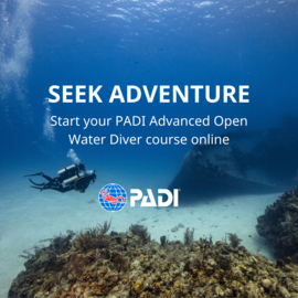 Theorie en Brevet PADI  Advanced Open Water Diver of SSI Advanced Adventurer