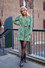 GREEN ZEBRA DRESS