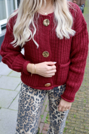 NINA BORDEAUX VEST