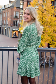 GREEN ZEBRA DRESS