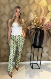 Dian Broek