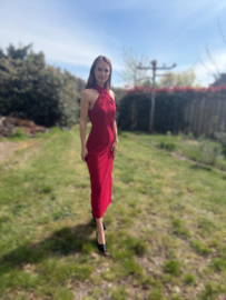 Tessa-dress persian dress