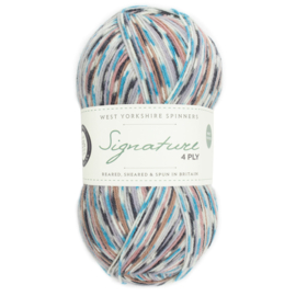 West Yorkshire Spinners Signature 4ply Country Birds Range - Jay