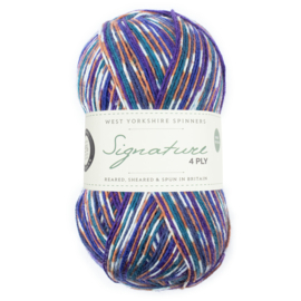West Yorkshire Spinners Signature 4ply Country Birds Range - Starling