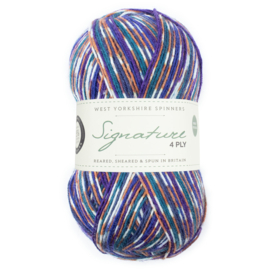 West Yorkshire Spinners Signature 4ply Country Birds Range - Starling
