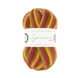 West Yorkshire Spinners Signature 4ply Winwick Mum - Autumn Leaves