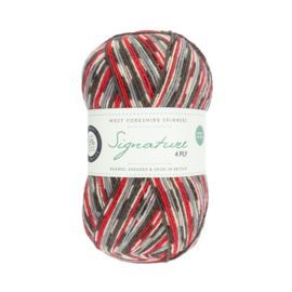 West Yorkshire Spinners Signature 4ply Country Birds Range - Bullfinch