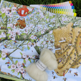 SpinBox - Beltane 🌸