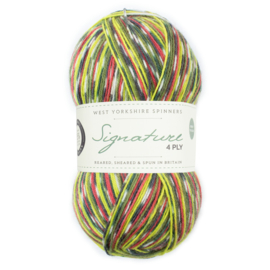 West Yorkshire Spinners Signature 4ply Country Birds Range - Green Woodpecker
