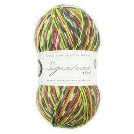 West Yorkshire Spinners Signature 4ply Country Birds Range - Green Woodpecker