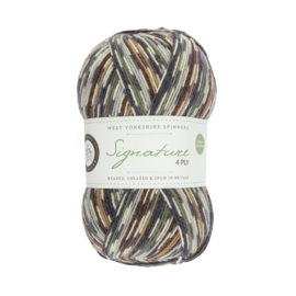 West Yorkshire Spinners Signature 4ply Country Birds Range - Owl