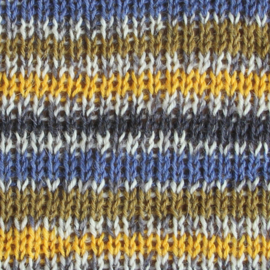 West Yorkshire Spinners Signature 4ply Country Birds Range - Blue Tit