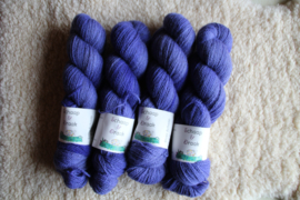 BFL/Masham - Violet