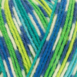 West Yorkshire Spinners Signature 4ply Country Birds Range - Peacock